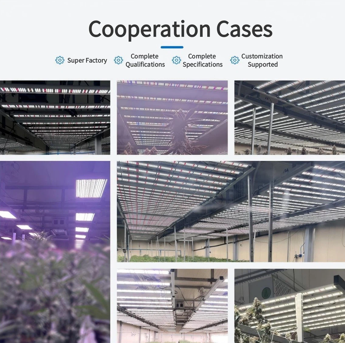 cooperation cases.jpg