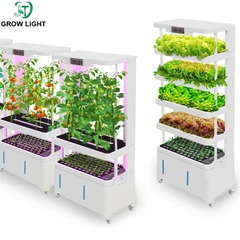 Hidroponikus rendszer