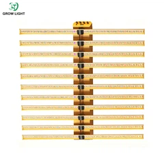 LED növekedési lámpák