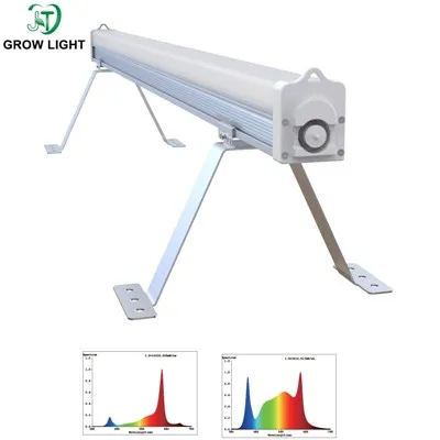 Vannak algák növekedésére szolgáló lámpák?